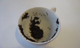 Fortune Telling with Tea Leaves