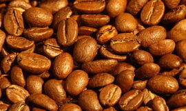 Arabica Coffee: The Queen (or King) of All Coffees