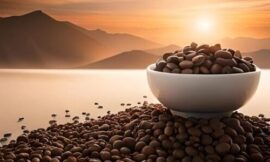 Exploring Different Coffee Bean Varieties: A Beginner’s Guide