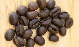 Robusta Coffee Beans: A Journey Through History, Flavor, and Brewing Perfection