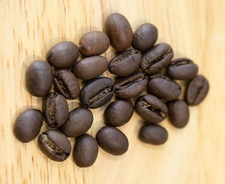 Read more about the article Robusta Coffee Beans: A Journey Through History, Flavor, and Brewing Perfection